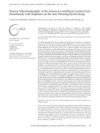 Triassic Lithostratigraphy of the Jameson Land Basin (Central East Greenland), with Emphasis on the New Fleming Fjord Group