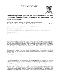 Understanding Copper Speciation and Mobilization in Soils and Mine Tailings from “Mineral La Aurora” in Central Mexico: Contributions from Synchrotron Techniques