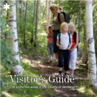 Visitor's Guide