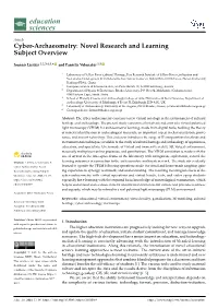 Cyber-Archaeometry: Novel Research and Learning Subject Overview