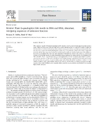 Plant G-Quadruplex (G4) Motifs in DNA and RNA; Abundant, Intriguing Sequences of Unknown Function T