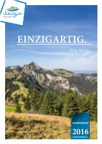 Einzigartig. Berg