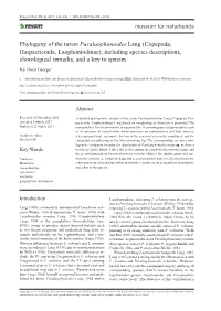﻿Phylogeny of the Taxon Paralaophontodes Lang