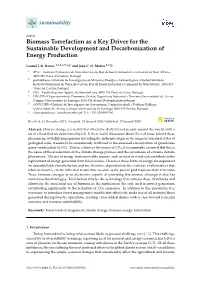 Biomass Torrefaction As a Key Driver for the Sustainable Development and Decarbonization of Energy Production