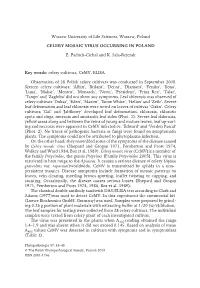 Celery Mosaic Virus Occurring in Poland