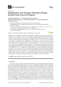 Identification and Toxigenic Potential of Fungi Isolated from Capsicum