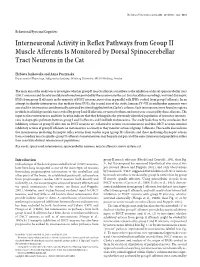 Interneuronal Activity in Reflex Pathways from Group II Muscle Afferents Is Monitored by Dorsal Spinocerebellar Tract Neurons in the Cat