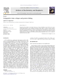 Polypeptide Chain Collapse and Protein Folding ⇑ Jayant B