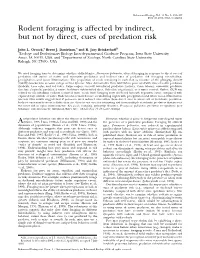 Rodent Foraging Is Affected by Indirect, but Not by Direct, Cues of Predation Risk