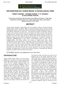 Cns Response in a Rabid Brain: a Pathological View