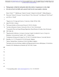 Phylogenomics Within the Anthonotha Clade (Detarioideae