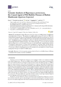 Genome Analysis of Hypomyces Perniciosus, the Causal Agent of Wet Bubble Disease of Button Mushroom (Agaricus Bisporus)