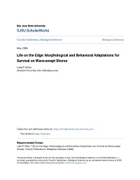 Morphological and Behavioral Adaptations for Survival on Wave-Swept Shores