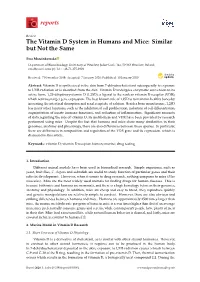 The Vitamin D System in Humans and Mice: Similar but Not the Same