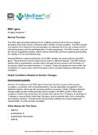 BIN1 Gene Bridging Integrator 1
