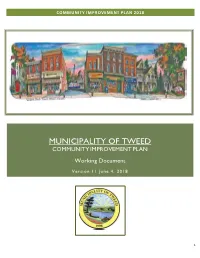 COMMUNITY IMPROVEMENT PLAN Working Document