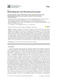 Rebuilding the Gut Microbiota Ecosystem