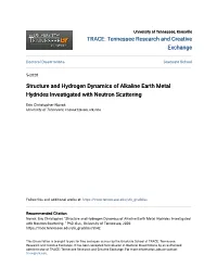 Structure and Hydrogen Dynamics of Alkaline Earth Metal Hydrides Investigated with Neutron Scattering