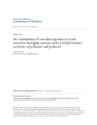 An Examination of Vascular Responses to Acute Isometric Handgrip Exercise and a Complementary Ischemic-Reperfusion Cuff Protocol