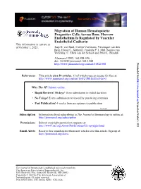 Endothelial Cadherin Endothelium Is Regulated by Vascular Progenitor