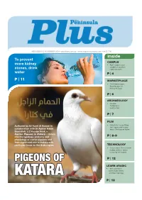 Penplusnovember052014