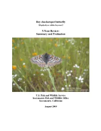 Bay Checkerspot Butterfly (Euphydryas Editha Bayensis) 5-Year