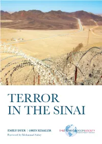 Terror in the Sinai
