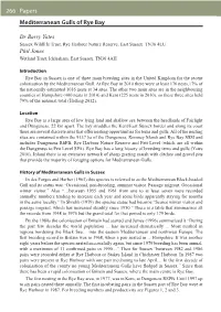 208 SOS Bird Report 266 Papers Mediterranean Gulls of Rye