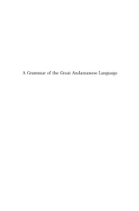 A Grammar of the Great Andamanese Language Brill’S Studies in South and Southwest Asian Languages