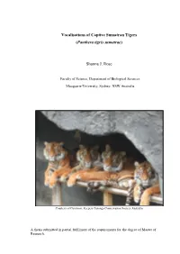 Master Document Template