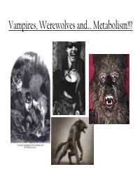 Vampires, Werewolves And… Metabolism!!? the Origins of Vampire Folklore