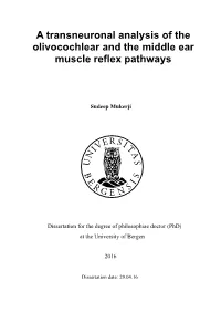 A Transneuronal Analysis of the Olivocochlear and the Middle Ear Muscle Reflex Pathways
