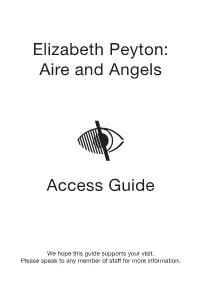 Access Guide Elizabeth Peyton
