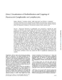 Direct Visualization of Redistribution and Capping of Fluorescent Gangliosides on Lymphocytes
