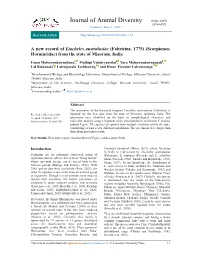 Full-Text (PDF)