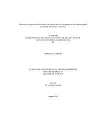 Functional Response and the Effects of Insecticidal Seed Treatment on the Soybean Aphid Parasitoid, Binodoxys Communis