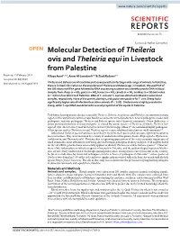 Molecular Detection of Theileria Ovis and Theleiria Equi in Livestock From