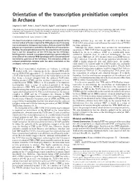 Orientation of the Transcription Preinitiation Complex in Archaea