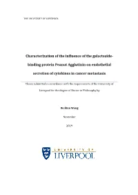 Characterization of the Influence of the Galactoside-Binding Protein