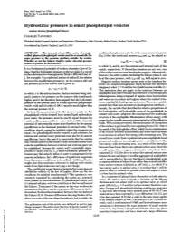 Hydrostatic Pressure in Small Phospholipid Vesicles