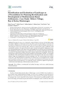 Identification and Evaluation of Landscape As a Precondition for Planning Revitalization and Development of Mediterranean Rural Settlements—Case Study: Mrkovi Village, Bay of Kotor