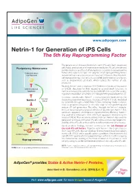 NETRIN 1 Flyer 2015