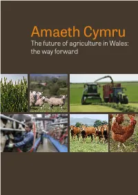 Amaeth Cymru the Future of Agriculture in Wales: the Way Forward