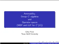 Amenability, Group C -Algebras and Operator Spaces (WEP and LLP For