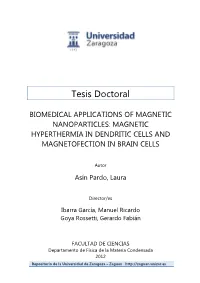 Magnetic Hyperthermia in Dendritic Cells and Magnetofection in Brain Cells
