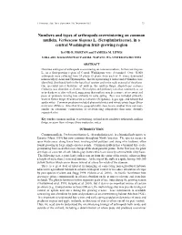 Numbers and Types of Arthropods Overwintering on Common Mullein, Verbascum Thapsus L