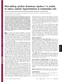 RNA-Editing Cytidine Deaminase Apobec-1 Is Unable to Induce Somatic Hypermutation in Mammalian Cells