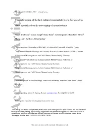 Characterization of the First Cultured Representative of a Bacteroidetes