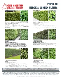 Hedges 4.18.19.V2