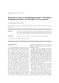 Orthoptera Tetrigidae) from India with Description of a New Species